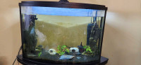 45 gallon fish tank for sale