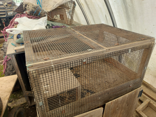 Rabbit, Chick Cage with Storage in Livestock in Hamilton - Image 2