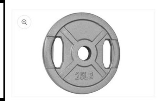 cast iron weight plates ( read description) in Exercise Equipment in Ottawa - Image 4
