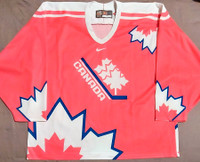 RARE 2007 PINK Team Canada Women's World Championships jersey XL