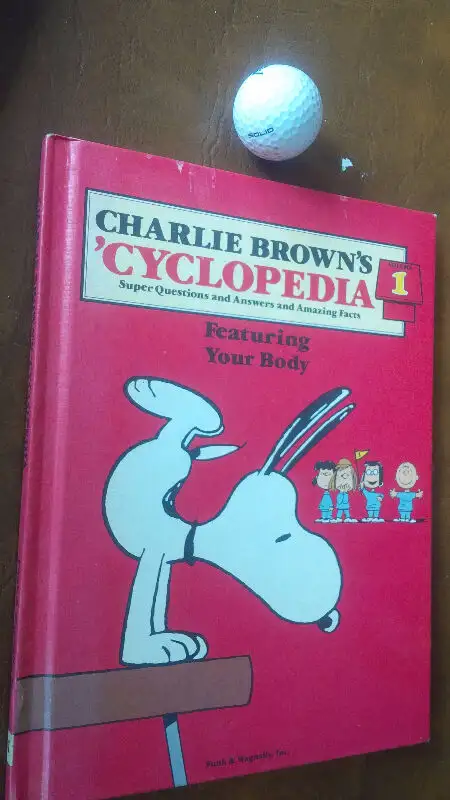 5 Charlie Brown Books, Pull Toy Snoopy & Woodstock in Other in Kitchener / Waterloo - Image 3
