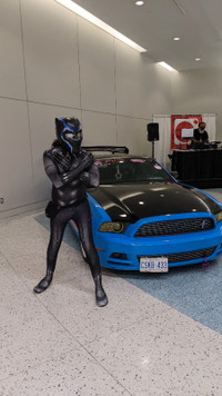 Black panther cosplay for sale!