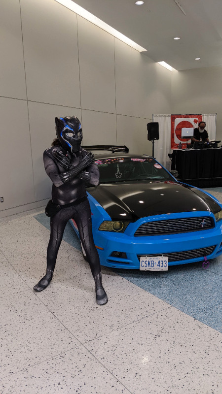 Black panther cosplay for sale! in Costumes in Mississauga / Peel Region