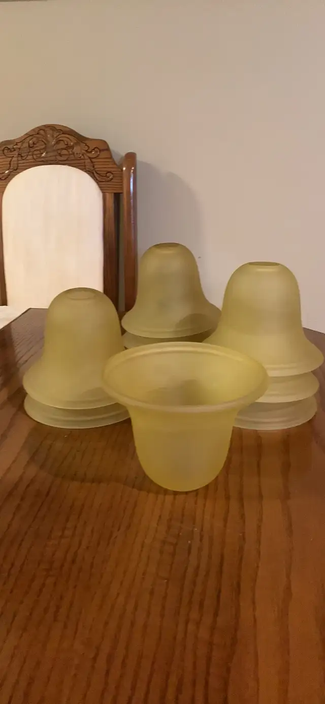 Vintage Glass Lamp Shade Replacements in Indoor Lighting & Fans in St. Catharines - Image 3