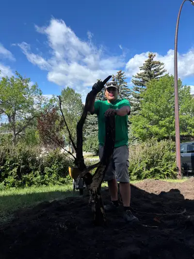 Hard worker looking for extra cash work!!, View more