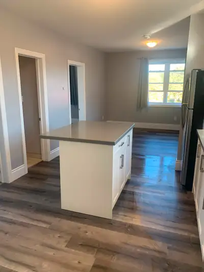 Beautiful two bedroom apartment only 1 minute to the highway and downtown area. Modern interior with...