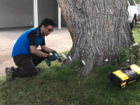 Tree Injection for controlling tree pests