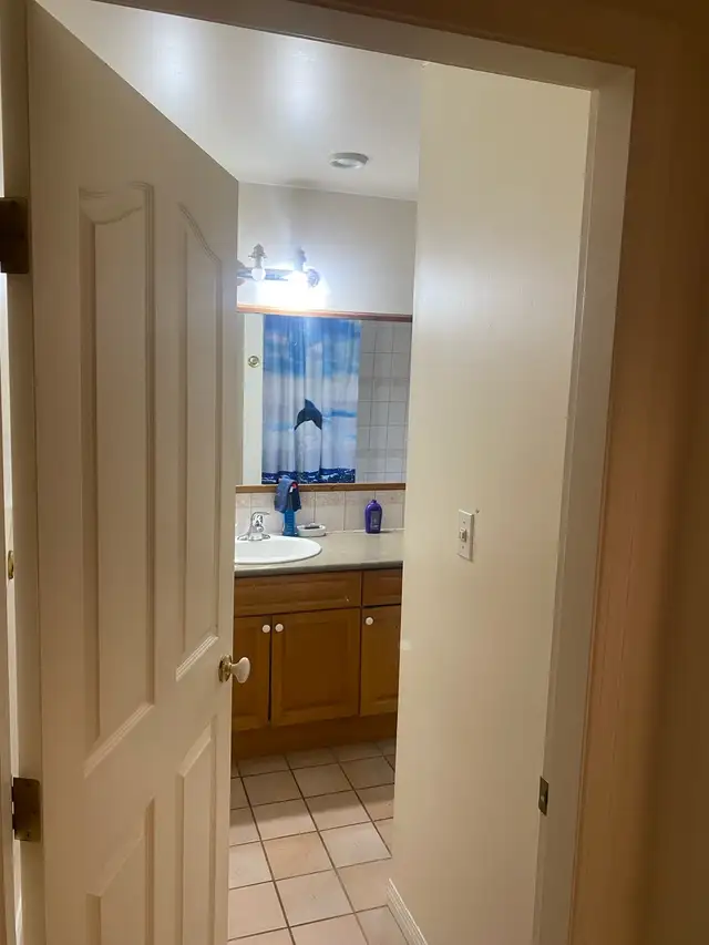 Shared Room 650 in Room Rentals & Roommates in Burnaby/New Westminster - Image 4