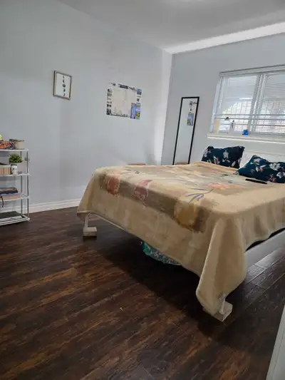 basement for rent