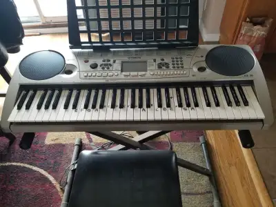 Keyboard, stand, seat, power adapter and custom cover $100.00 Firm