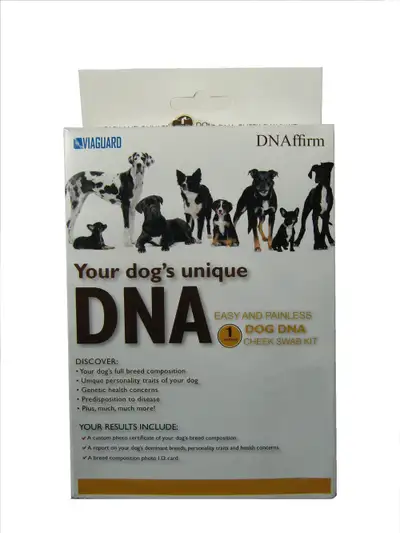 Who’s your doggy?, View more
