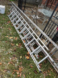 Three extension ladders 