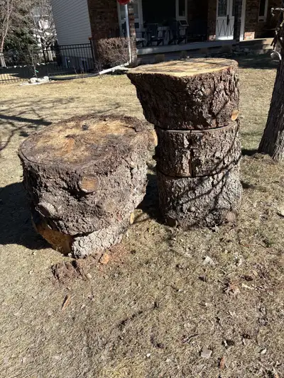 Firewood (Tree Stumps) - Free for pickup , View more