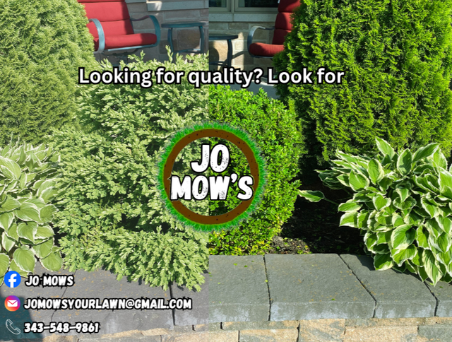 Lawn and Garden Care services