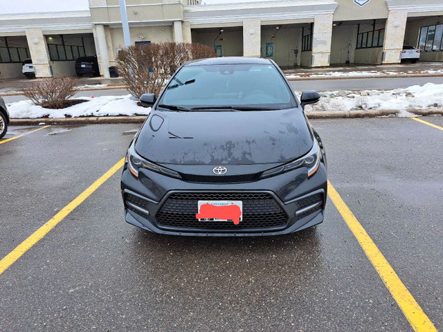 Selling Used 2021 Toyota Corolla - Excellent Condition!  in Cars & Trucks in Kitchener / Waterloo