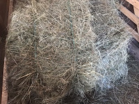 Second cut hay for sale