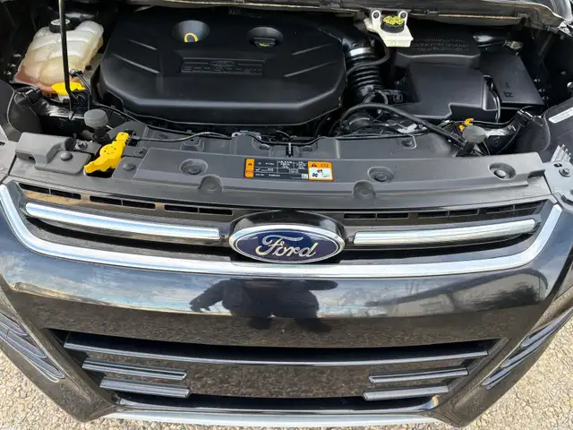 2013 FORD ESCAPE SEL585100278157824009