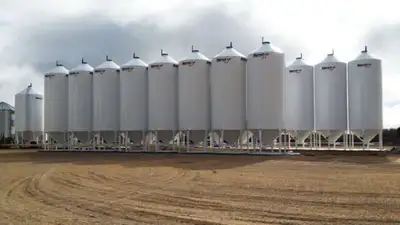 GOAT FEED BULK OR BAGGED, View more