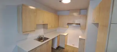 Magnifique 3 1/2 style condo, disponible 1er février et/ou 1er mars. Situé sur la rue Bélair, à Sain...