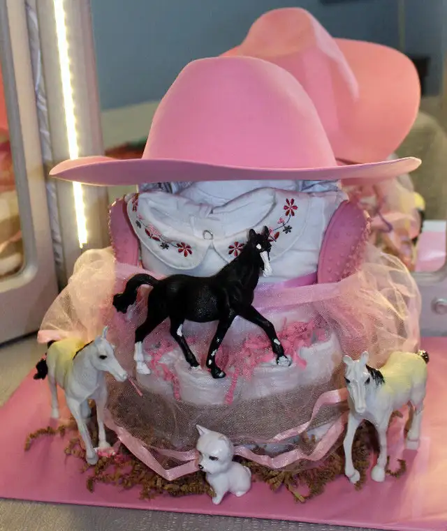 MY DIAPER CAKE CREATIONS in Bathing & Changing in Guelph - Image 7