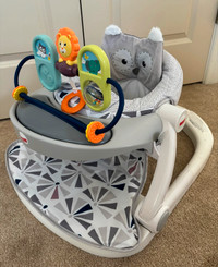 Baby Chair (Fisher Price)