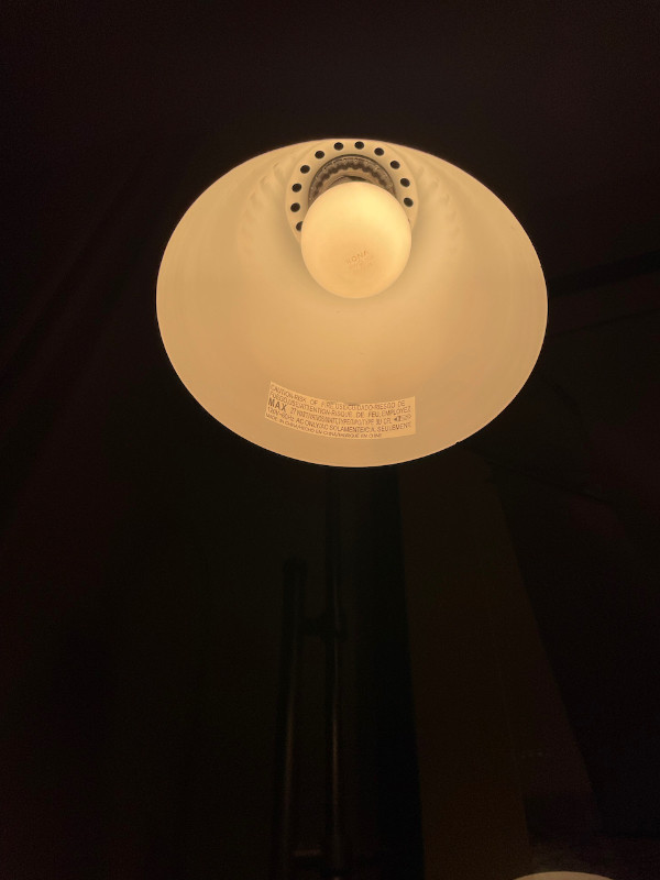 Elegant Standing Lamp in Indoor Lighting & Fans in Edmonton - Image 4