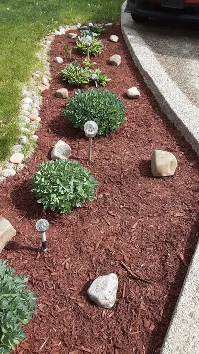 Fall cleanup Flowers and plants cutting and trimming Leaf cleanup General backyard and front yard wo...
