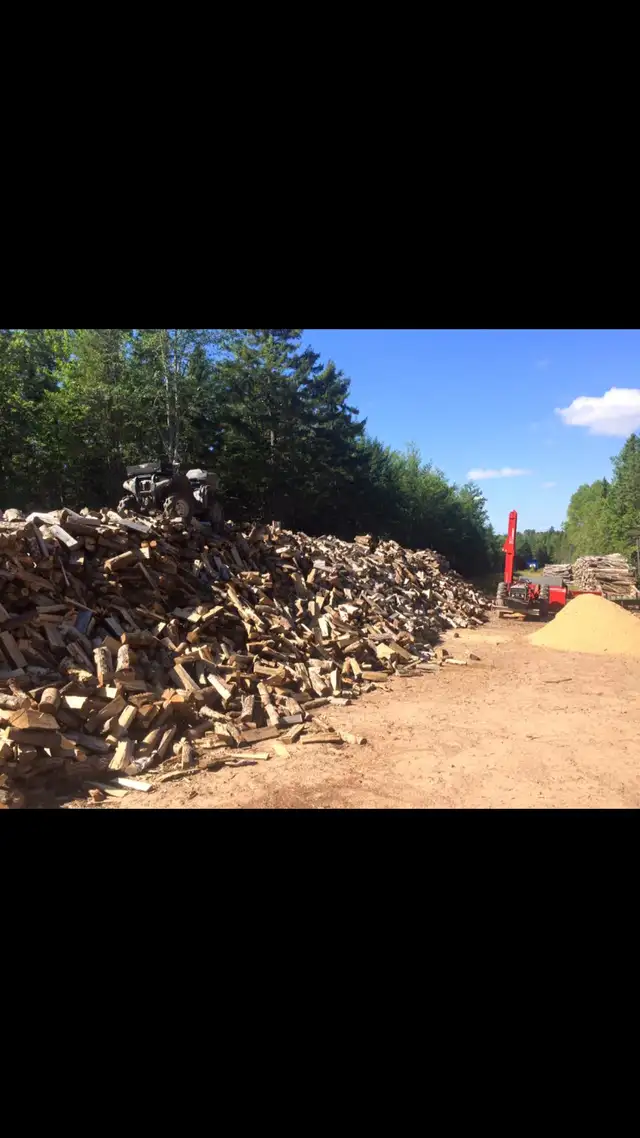 Firewood in Other in Moncton - Image 2