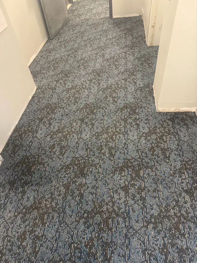  CARPET INSTALLATION 521699859377039362