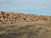 Firewood pick up only