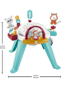 Fisher Price Activity Centre