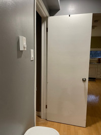 Standard Door Slabs 