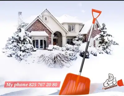 Snow Shovel Service, View more