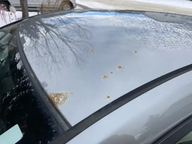 DENTED - RUSTY - RUNS in Cars & Trucks in Calgary - Image 10