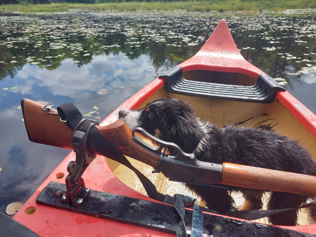 12 foot plastic canoe in Canoes, Kayaks & Paddles in Kingston - Image 3