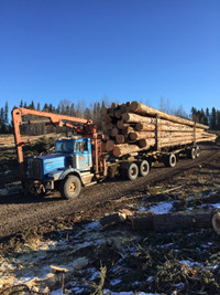 Self Loading Logging Truck For Sale