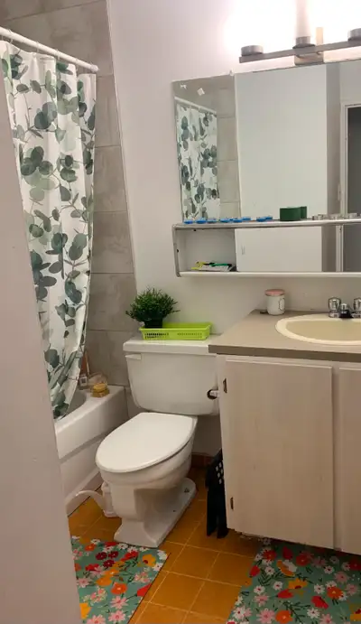 Bonjour - Appartement 3 1/2 tout inclus disponible le 1er septembre. ( Une chambre fermée de 6mx5m e...
