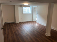 BRAND NEW! 2-bedroom (+ den) basement apartment in Carlington