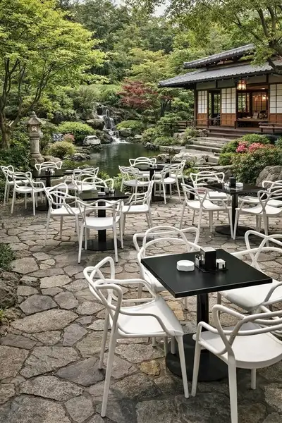 Light Weight Modern Design Dining Chairs | Available 100 Plus Ch, View more