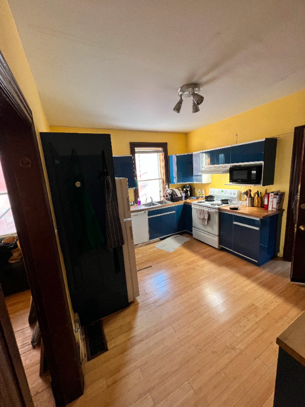 STUDENTS: MAY PAY HALF RENT!! 1 ROOM, HOME, HERITAGE DISTRICT in Room Rentals & Roommates in Peterborough - Image 3