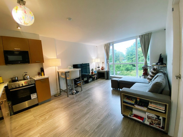 1 bed 1 bath Apartment in Long Term Rentals in Delta/Surrey/Langley - Image 3