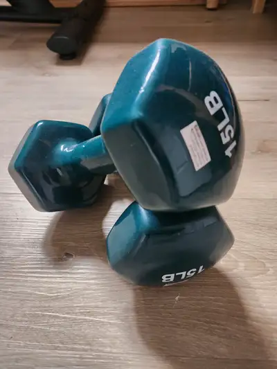 15 lbs dumbbells, View more