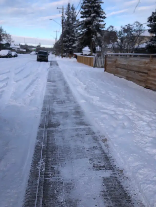 PROFESSIONAL FALL CLEANUP & SNOW REMOVAL 600046539920517127