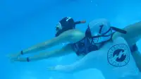 underwater football free trial