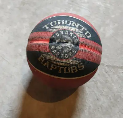 Spalding Raptors Basketball, View more