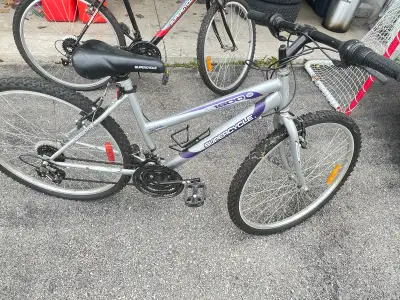 Supercycle 1500 Bike, View more