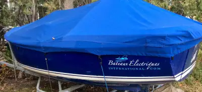 Bateau 100% électrique 2008 sans entretien, 5 passagers homologuées par Transport Canada. Parfait po...