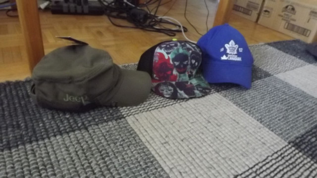 TOR MAPLE LEAFS LIMITED EDITION "1917 LOGO"  CAP/MOLSON CANADIAN in Arts & Collectibles in City of Toronto - Image 3