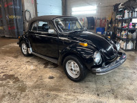 1979 beetle convertible 