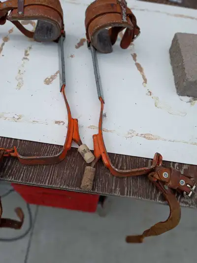 BASHLIN Tree Climbing Spurs, View more